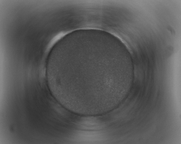 X0000116841462200912312045