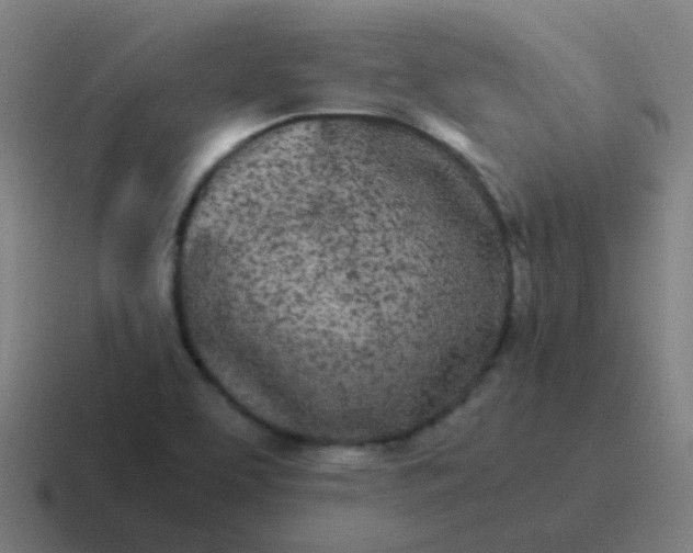 X0000116841463200912312045