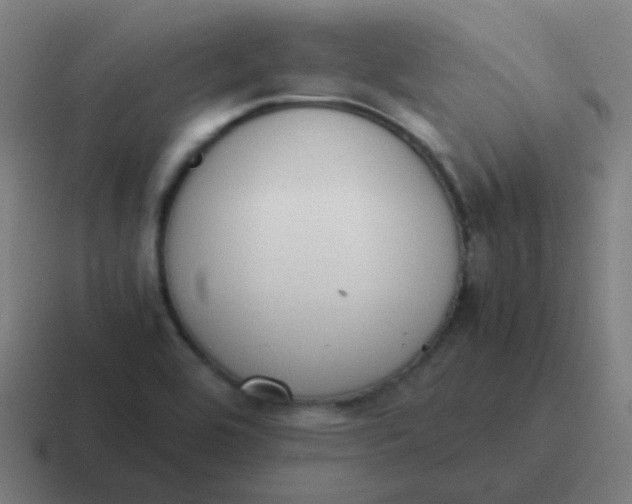 X0000116841464200912312045