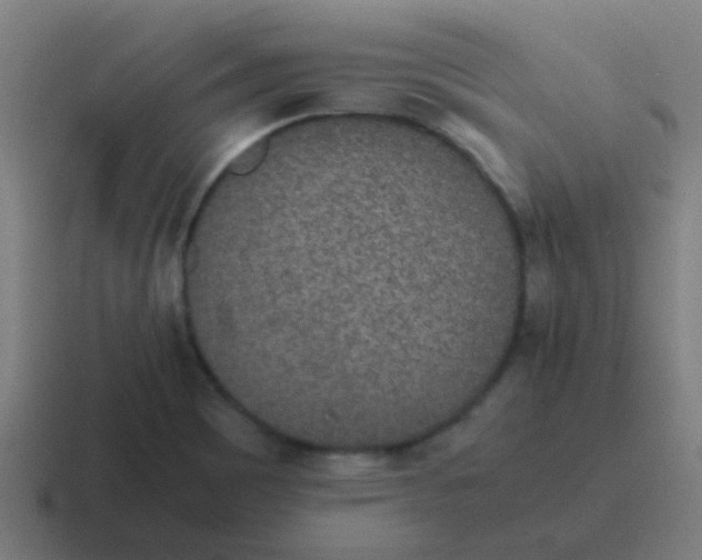 X0000116841465200912312045