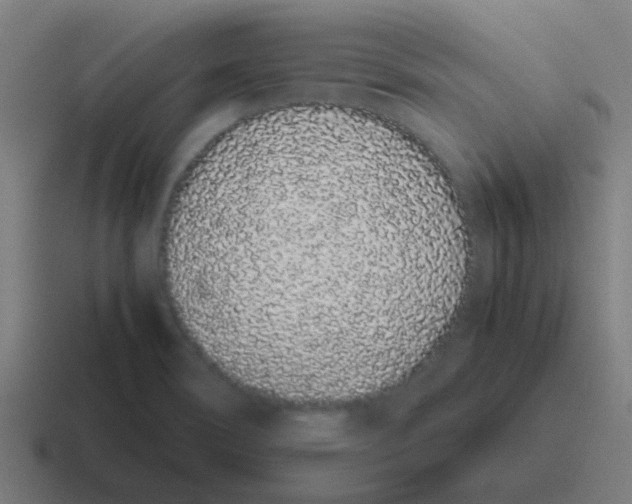 X0000116841466200912312045