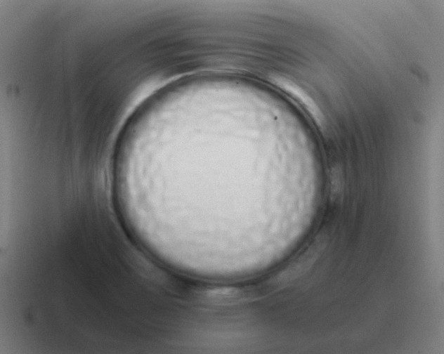 X0000116841467200912312045