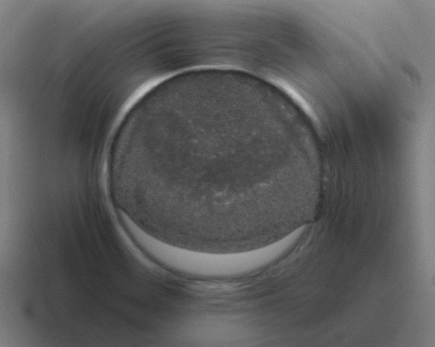 X0000116841468200912312045