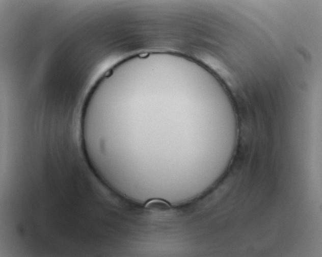 X0000116841469200912312045