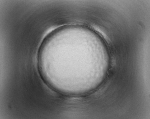 X0000116841471200912312045