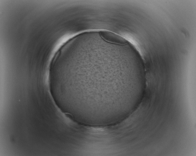 X0000116841472200912312045