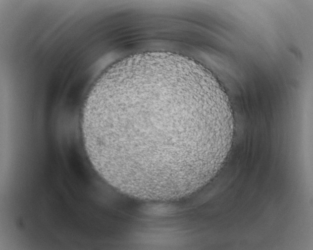 X0000116841474200912312045