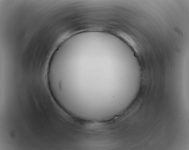 X0000116841475200912312045