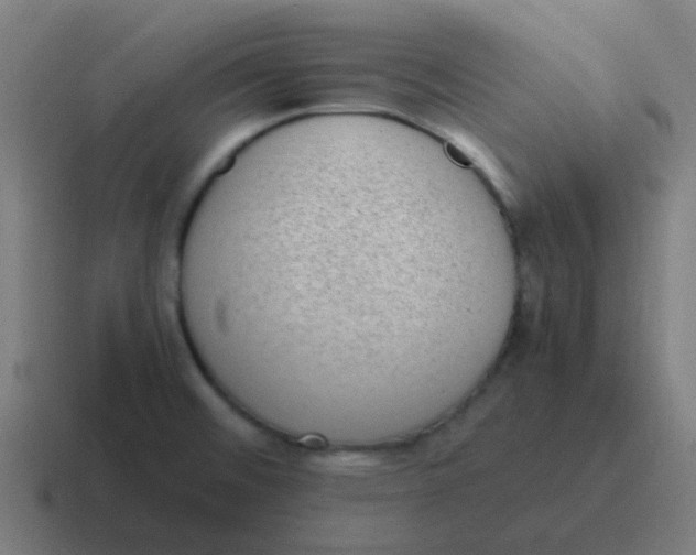 X0000116841476200912312045