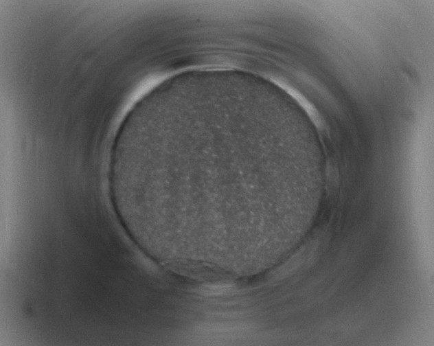 X0000116841477200912312045