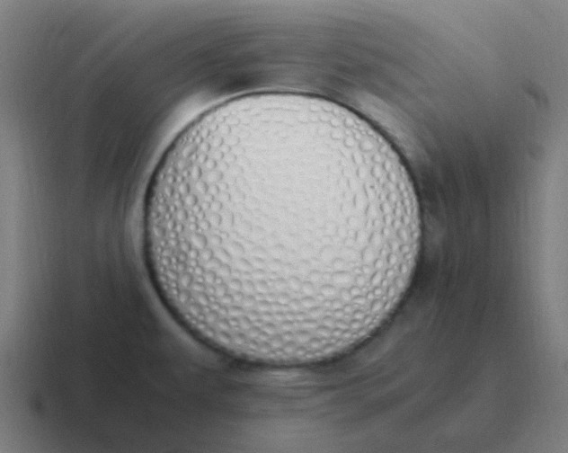 X0000116841479200912312045