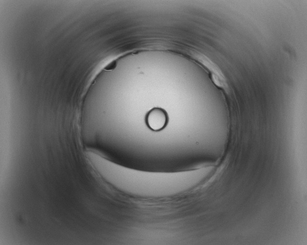 X0000116841481200912312045