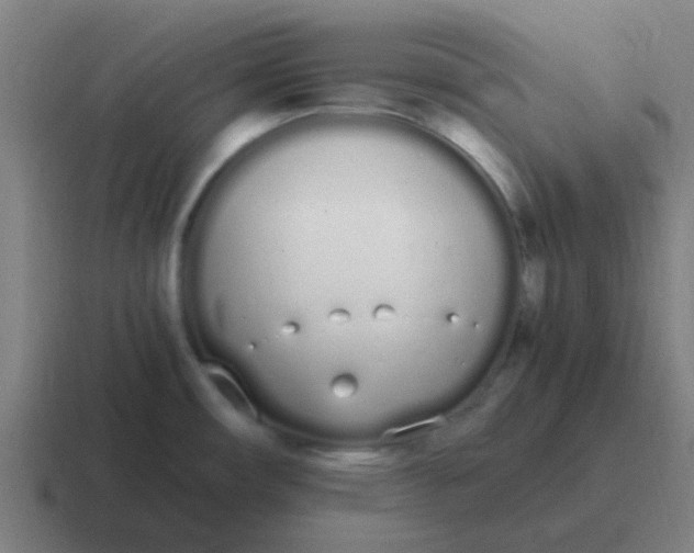 X0000116841482200912312045