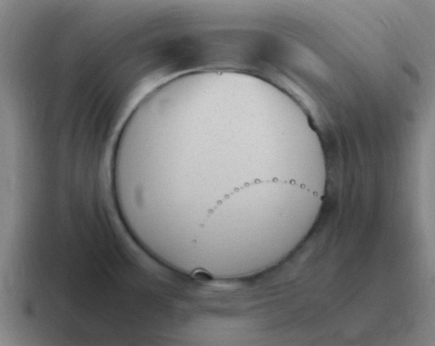 X0000116841483200912312045