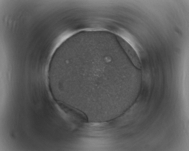 X0000116841485200912312045