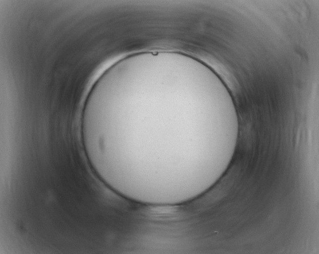 X0000116841486200912312045