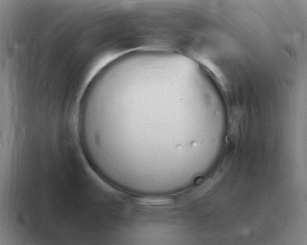 X0000116841487200912312045