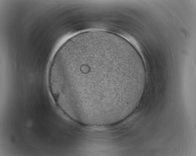 X0000116841488200912312045