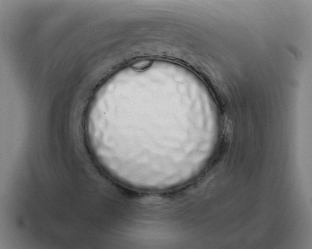 X0000116841489200912312044