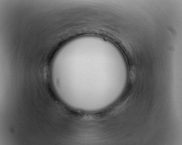 X0000116841490200912312044