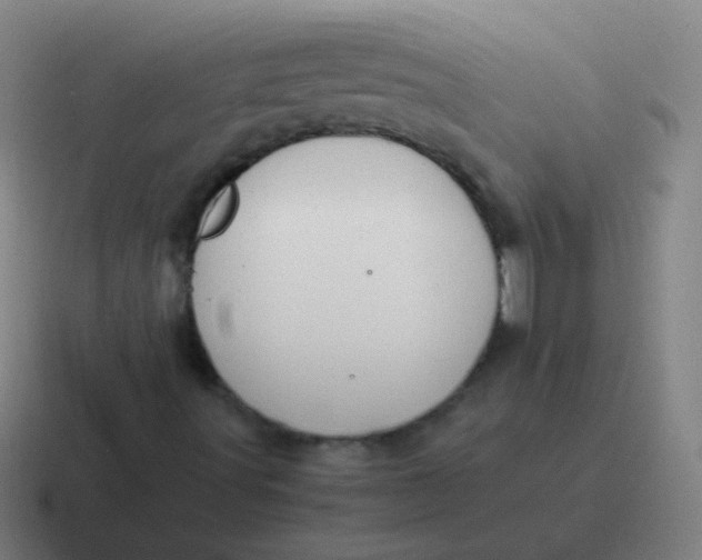 X0000116841491200912312044