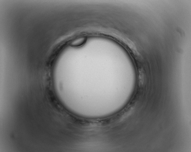 X0000116841494200912312044