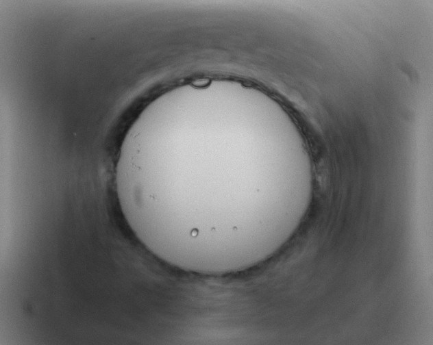 X0000116841495200912312044