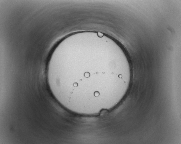 X0000116841498200912312044