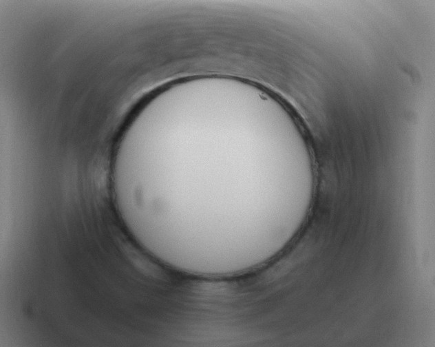 X0000116841499200912312044