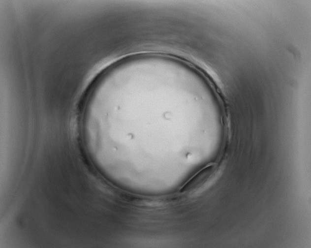 X0000116841501200912312044