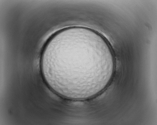 X0000116841503200912312044