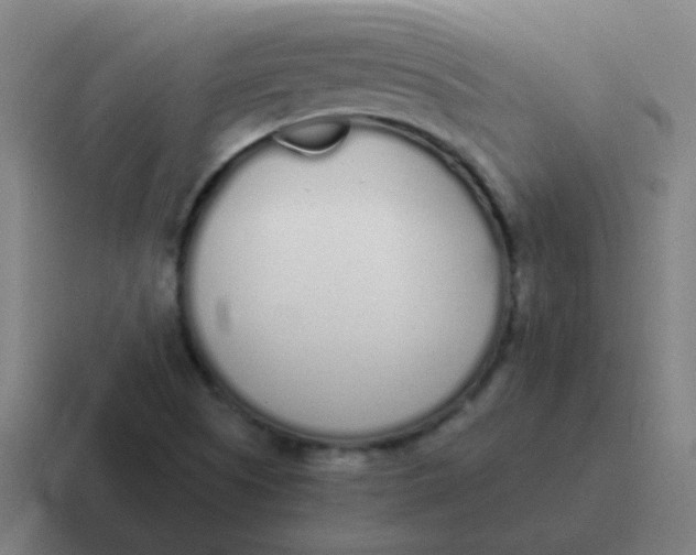 X0000116841505200912312044