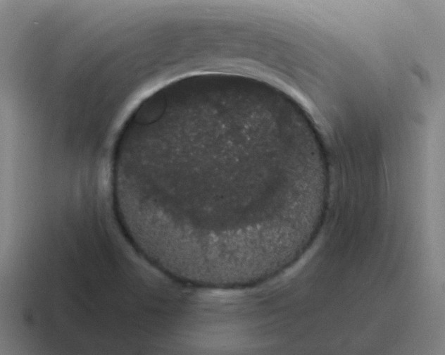 X0000116841506200912312044