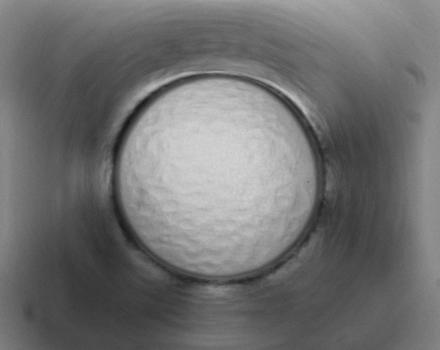 X0000116841507200912312044