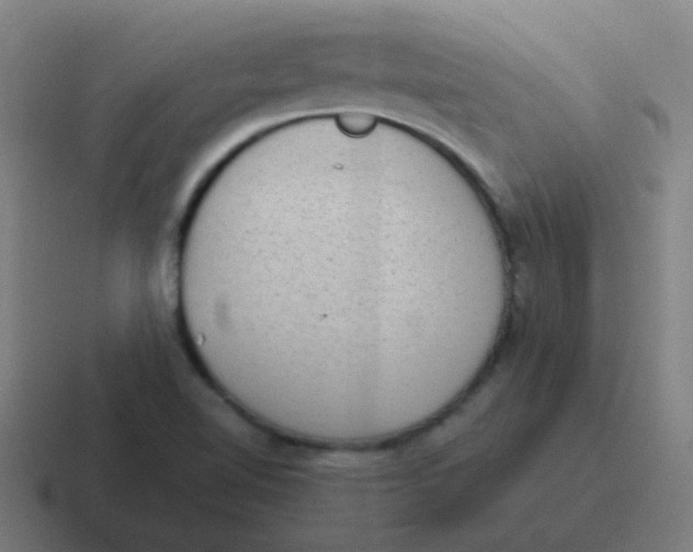 X0000116841510200912312044