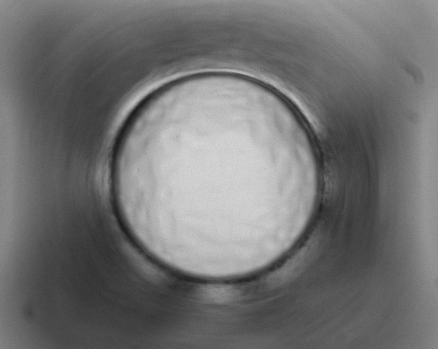 X0000116841511200912312044