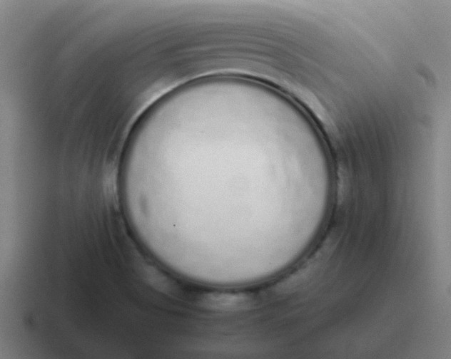 X0000116841513200912312044