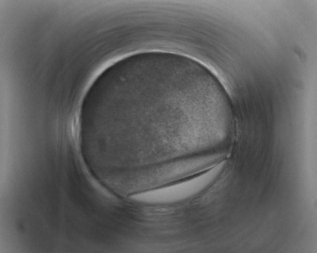 X0000116841515200912312044