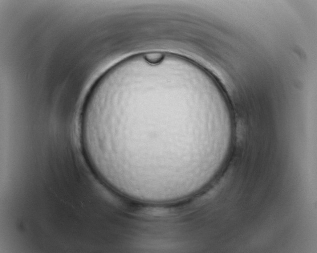 X0000116841517200912312044