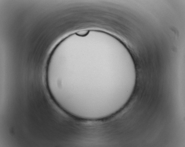 X0000116841518200912312044