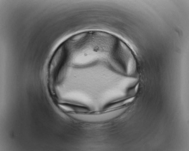 X0000116841519200912312044