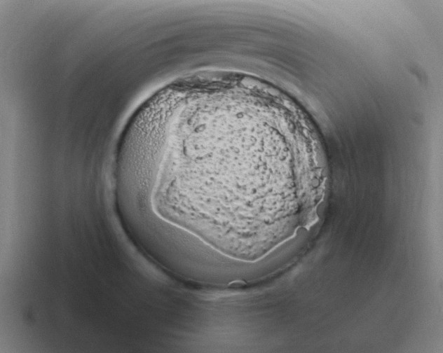 X0000116841522200912312044