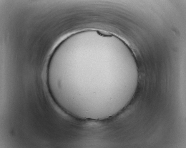 X0000116841523200912312045