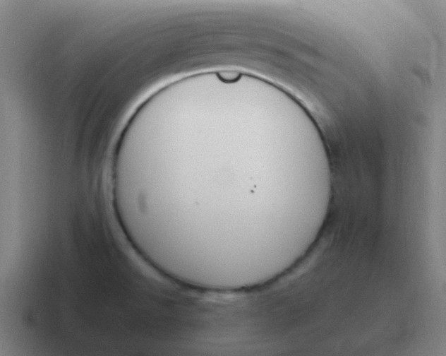 X0000116841526200912312045