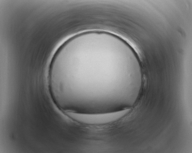 X0000116841527200912312045