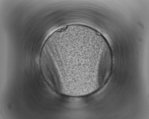 X0000116841529200912312045