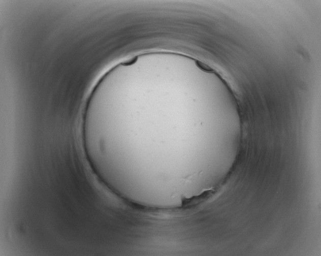 X0000116841530200912312045