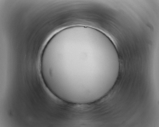 X0000116841531200912312045