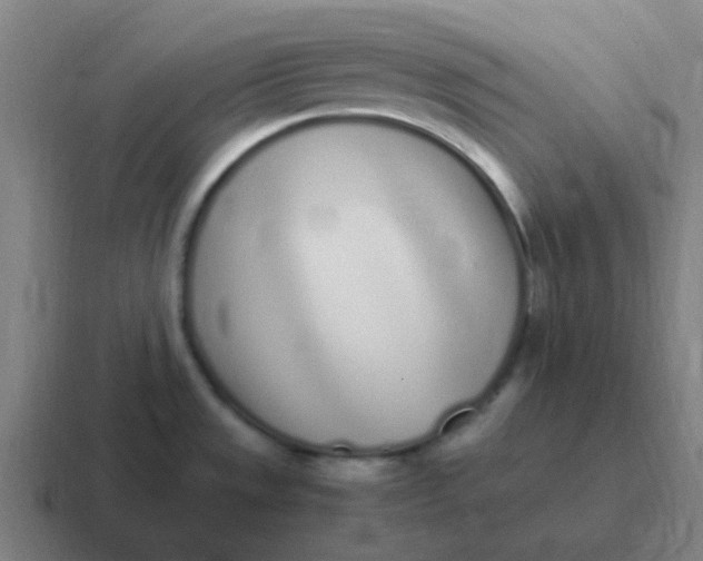 X0000116841533200912312045