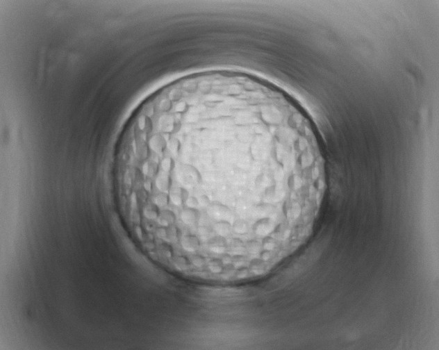 X0000116841534200912312045